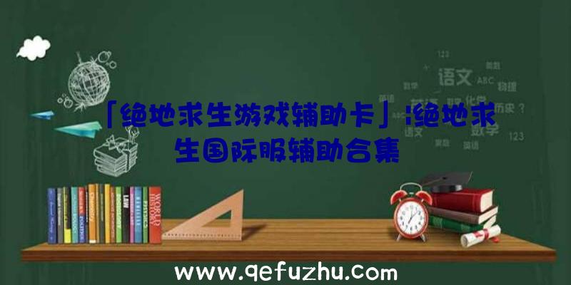 「绝地求生游戏辅助卡」|绝地求生国际服辅助合集